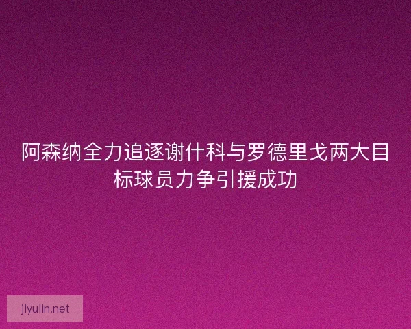 阿森纳全力追逐谢什科与罗德里戈两大目标球员力争引援成功