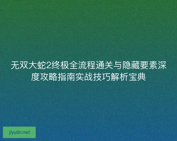 无双大蛇2终极全流程通关与隐藏要素深度攻略指南实战技巧解析宝典