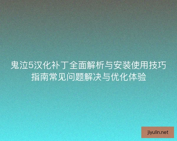 鬼泣5汉化补丁全面解析与安装使用技巧指南常见问题解决与优化体验